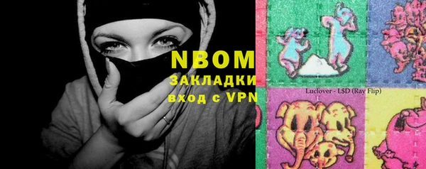метадон Алексин