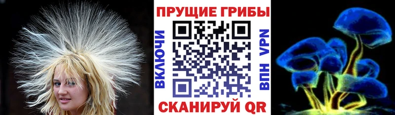 купить закладку  Байкальск  hydra как зайти  Галлюциногенные грибы Psilocybe 
