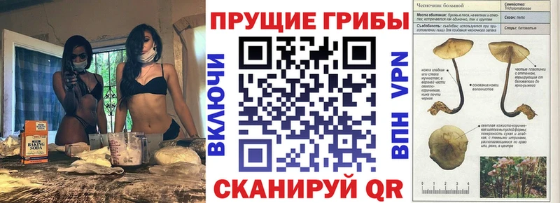 Псилоцибиновые грибы GOLDEN TEACHER Байкальск